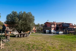 giardino